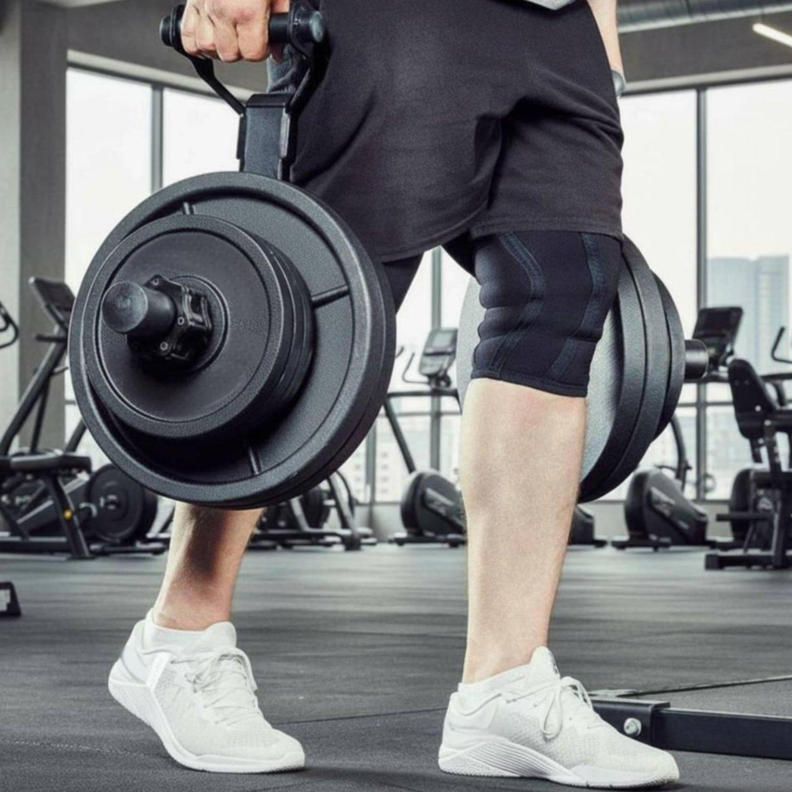 Multi-size Barbell Plate Holde - đánh giá và giá Home Gym Usa