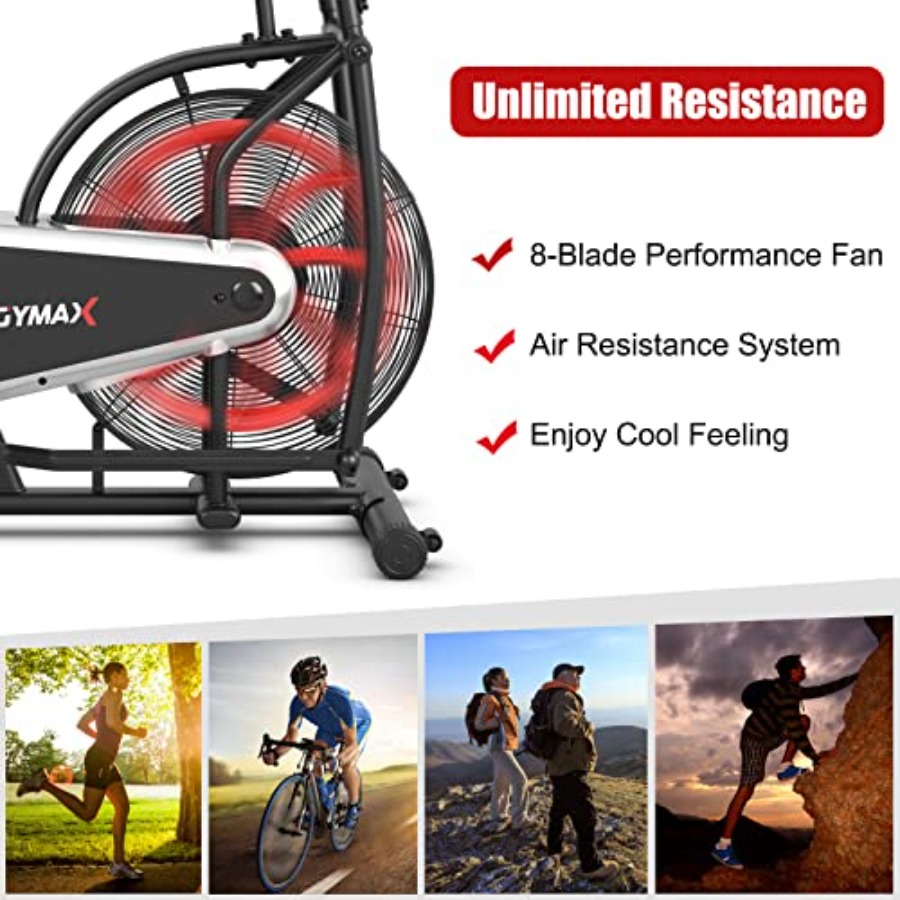 Home gym cardio training: fan  - đánh giá và giá Home Gym Leg