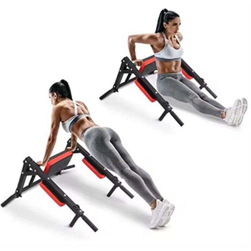 Heavy Duty Wall Mounted Parall - đánh giá và giá Home Gym Leg