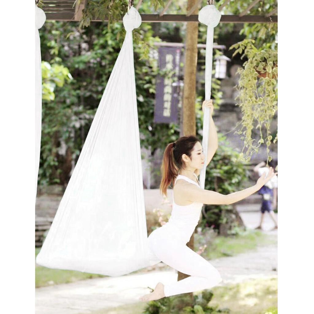 Nylon Aerial Yoga Hammock Dura - đánh giá và giá Yoga Trapeze Swing
