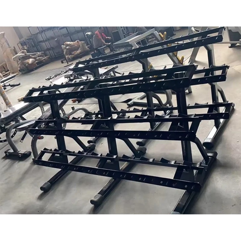 Practical Steel Dumbbell Rack  - đánh giá và giá Home Gym Practice