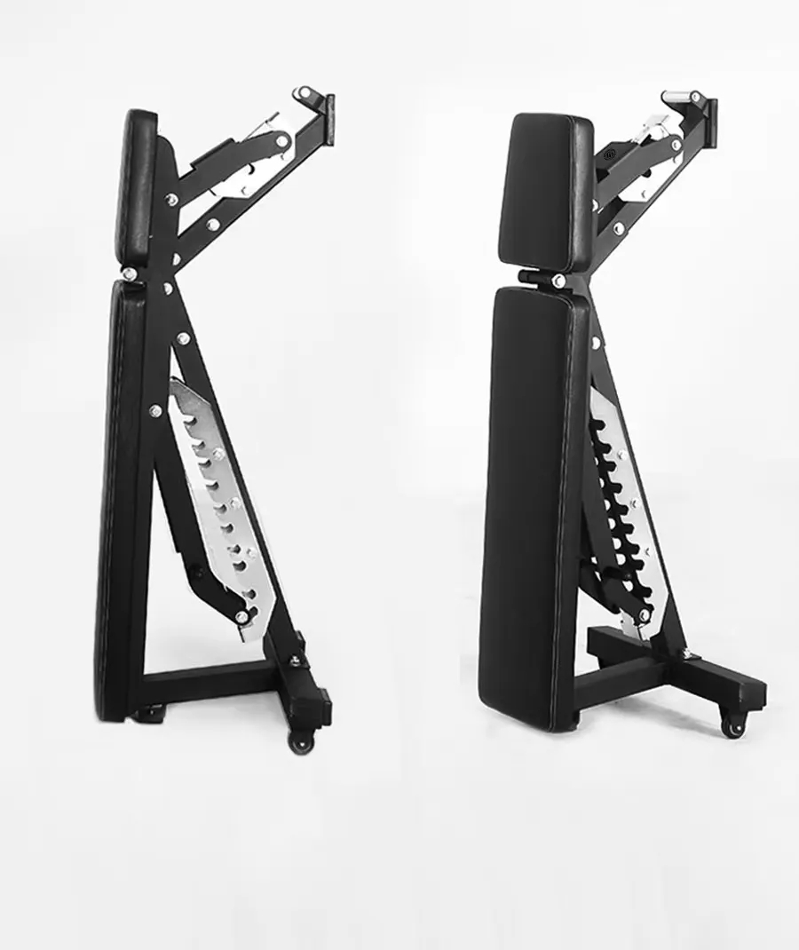 Adjustable Dumbbell Foldable B - đánh giá và giá Home Gym Practice